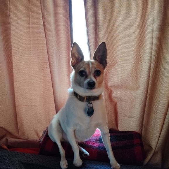 Meet your Posher, Kim - Picture 1 of 1